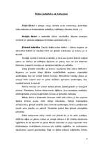 Referāts 'Betona korozija', 9.