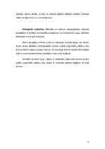 Referāts 'Betona korozija', 11.