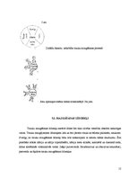 Referāts 'Trauku mazgājamā mašīna', 12.