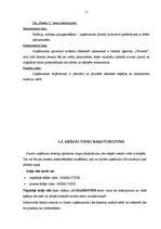 Prakses atskaite 'Ekskursiju vadīšanas metodikā SIA "Selena L", ekskursijas maršruta izveidošana', 10.