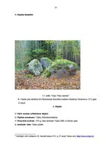 Prakses atskaite 'Ekskursiju vadīšanas metodikā SIA "Selena L", ekskursijas maršruta izveidošana', 19.