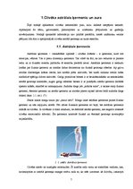 Referāts 'Paranormālas parādības Latvijā', 7.