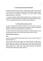 Referāts 'Jauniešu starptautiskās sadarbības iespējas Jelgavā un Latvijā', 5.