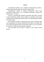 Referāts 'Aizturēšana', 3.