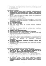 Referāts 'Pārtikas piedevas', 5.