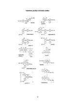 Referāts 'Pārtikas piedevas', 18.