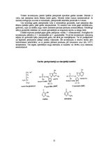 Referāts 'Pārtikas piedevas', 25.