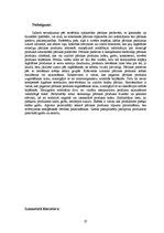 Referāts 'Pārtikas piedevas', 27.