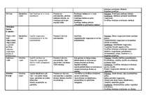 Konspekts '6.klases programma sportā', 2.