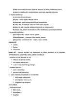 Konspekts 'Tēls, zīme, simbols', 2.