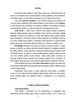 Referāts 'Vides reklāma Latvijā', 3.