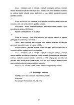 Referāts 'Vides reklāma Latvijā', 17.