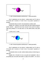 Referāts 'Vides reklāma Latvijā', 19.