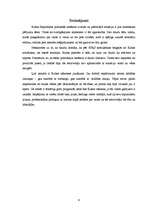 Referāts 'Kubas politiskā sistēma: izveide, attīstība, pašreizējā situācija, nākotnes vīzi', 9.