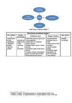 Konspekts 'Uzņēmējdarbība kā inovācijas komercializācijas process. Riski inovatīvajā darbīb', 5.