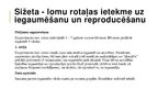 Prezentācija 'Atmiņas attīstīšanas un trenēšanas  iespējas pirmskolā un pamatskolā – praktiski', 22.