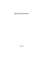 Referāts 'Ugunssienas (Firewall)', 1.