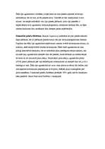 Referāts 'Ugunssienas (Firewall)', 5.