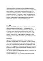 Referāts 'Ugunssienas (Firewall)', 6.