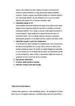 Referāts 'Ugunssienas (Firewall)', 8.