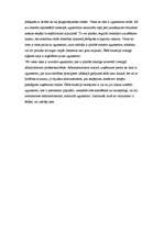 Referāts 'Ugunssienas (Firewall)', 10.