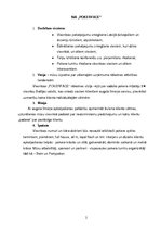 Konspekts 'Sapņu uzņēmums "Pokerface"', 2.