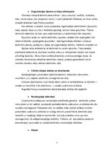 Konspekts 'Sapņu uzņēmums "Pokerface"', 5.