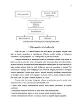 Referāts 'Biodīzeļdegvielas ietekme uz vidi', 5.
