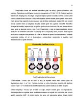 Referāts 'Biodīzeļdegvielas ietekme uz vidi', 13.