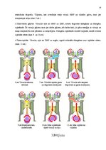 Referāts 'Biodīzeļdegvielas ietekme uz vidi', 14.