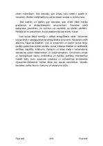 Referāts 'Tautastērps', 7.