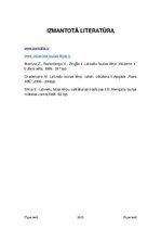 Referāts 'Tautastērps', 9.