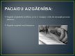 Prezentācija 'Ģimenes tiesības', 19.