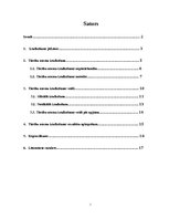 Referāts 'Tiesību normu iztulkošanas veidi', 1.