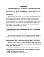 Referāts 'Tiesību normu iztulkošanas veidi', 8.