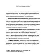 Referāts 'Tiesību normu iztulkošanas veidi', 13.