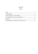 Referāts 'Kārtības policijas darbības taktiskie aspekti masu nekārtību laikā', 2.