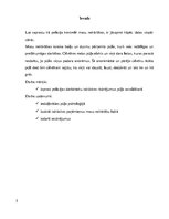 Referāts 'Kārtības policijas darbības taktiskie aspekti masu nekārtību laikā', 3.