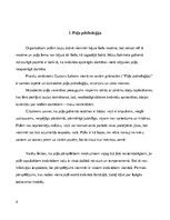 Referāts 'Kārtības policijas darbības taktiskie aspekti masu nekārtību laikā', 4.