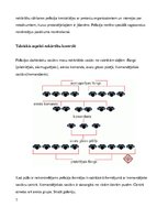 Referāts 'Kārtības policijas darbības taktiskie aspekti masu nekārtību laikā', 7.