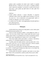 Prakses atskaite 'Prakses atskaite juridiskajā birojā', 28.