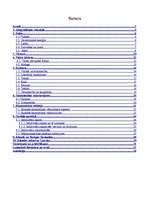 Referāts 'Islande', 2.