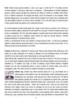 Referāts 'Islande', 8.