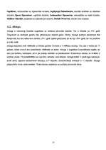 Referāts 'Islande', 13.