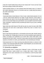 Referāts 'Islande', 16.