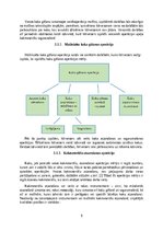 Referāts 'Darba izpildes tehnoloģijas analīze koku gāšanas, atzarošanas un sagarumošanas o', 6.