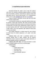 Biznesa plāns 'Uzņēmums „Rock Caffe”', 4.