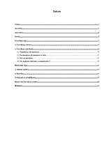 Referāts 'Tetovējums - ķermeņa rotājums vai izkropļojums?', 2.