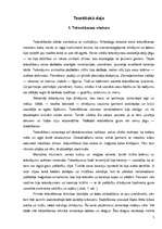 Referāts 'Tetovējums - ķermeņa rotājums vai izkropļojums?', 7.