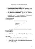 Referāts 'Dienas kārtības uzstādīšanas teorija', 11.